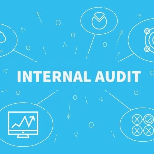 Internal Auditing Service
