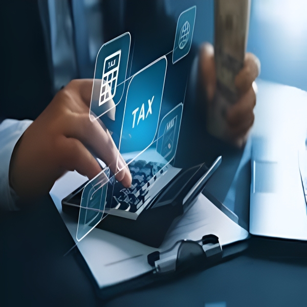 Audit and Tax Assistance