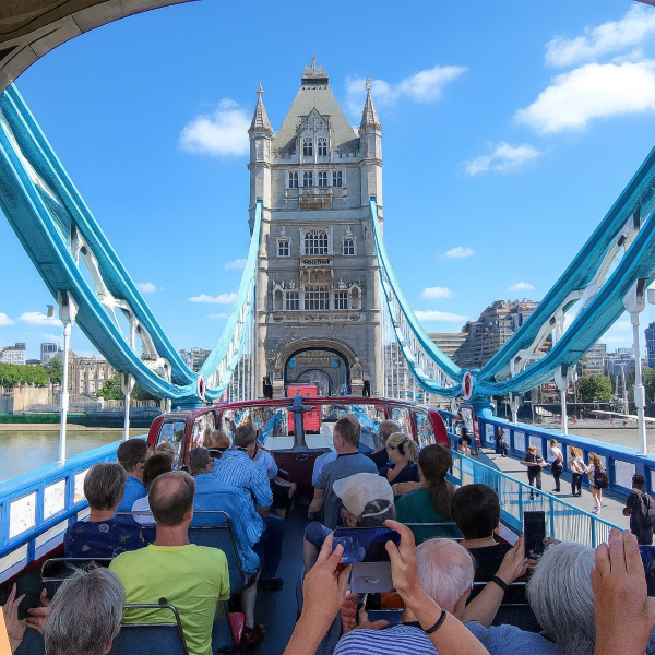Sightseeing Tour Services