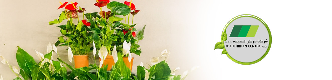 Supplier Banner